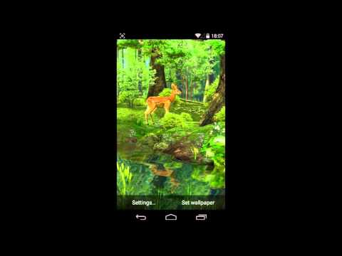 3D Deer-Nature Live Wallpaper Video