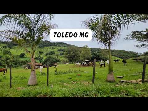 Toledo MG - Passeio da Rota 408 pelo Estado de Minas Gerais - 16° Temp - Ep 47