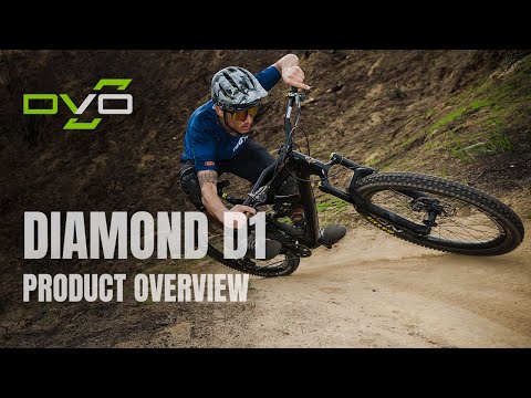 Diamond D1- Overview