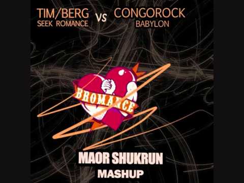 Tim Berg - Seek Bromance VS. Congorock - Babylon (Maor Shukrun) - MashUp