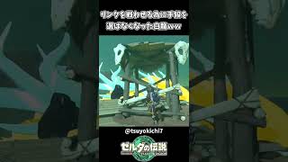 リンクを連れていく為に手段を選ばない白龍ｗｗ【ゼルダの伝説 ティアーズ オブ ザ キングダム】