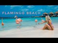Flamingo Beach Aruba, Renaissance Private Island. Everything You Need To Know!