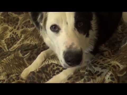 Show me yours I'll show you mine. Lol