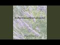 Amethyst Rosemary Perceiving Sound Bath