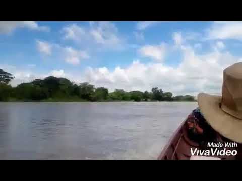 Olas del rio Atamaica, Francisco Montoya