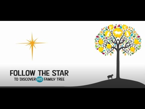 Follow the Star 2021