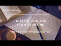 ASMR Distracting You From Studying