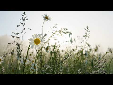 Kathi Stimmer-Salzeder - Alles hat seine Zeit