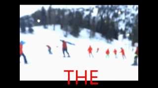 Meet the BOGUS Park!