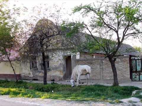 Govori se da me varaš