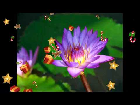 Excellos Five (1926) - I Like You Best Of All