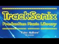 Celebration Instrumental Music Uplifting Music