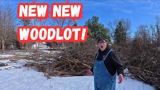 It is time to introduce THE NEW NEW WOODLOT!