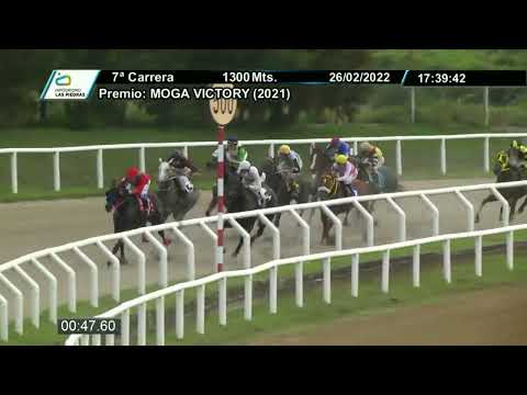 220226 c07 - COHIMBRA LAWYER - HIPODROMO LAS PIEDRAS