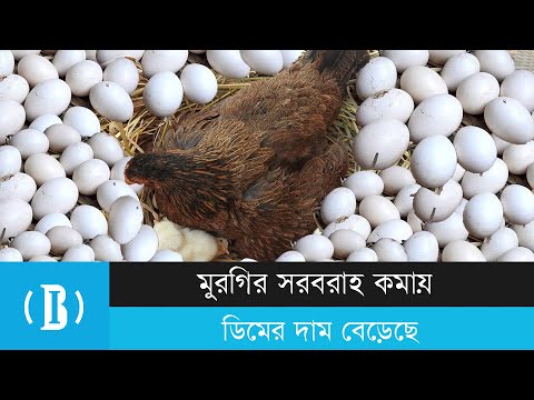 মুরগির সরবরাহ কমায় ডিমের দাম বেড়েছে