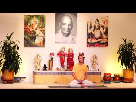 "Rückenyoga" mit Adrian - Yoga Vidya Ashram Bad Meinberg - Live 09:30 Uhr 16.11.2021