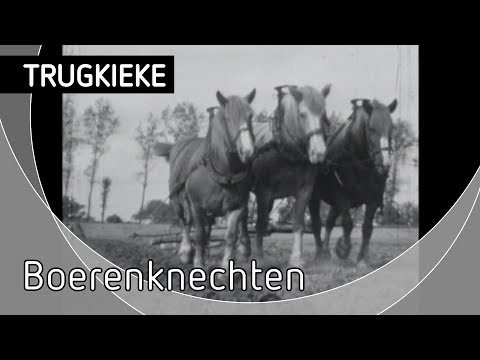 Trugkieke, Boerenknechten