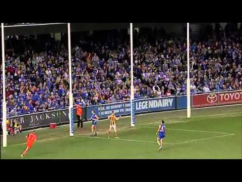 VFL Grand Final 2014 Highlights