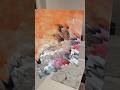 BUDOUCNOST UMĚNÍ A OBRAZŮ 🫨🫨 Czech Umeni Budoucnost Visualartist Efekty 3dartist Foryou