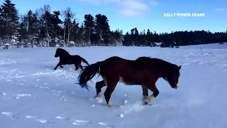 Fairweather Friends -  The Weather Network Upbeat Weather Forecast Music