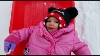 Alli's Golden Birthday