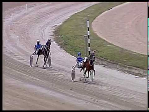 Trotto 13/06/2020 - 2ª prova di qualifica