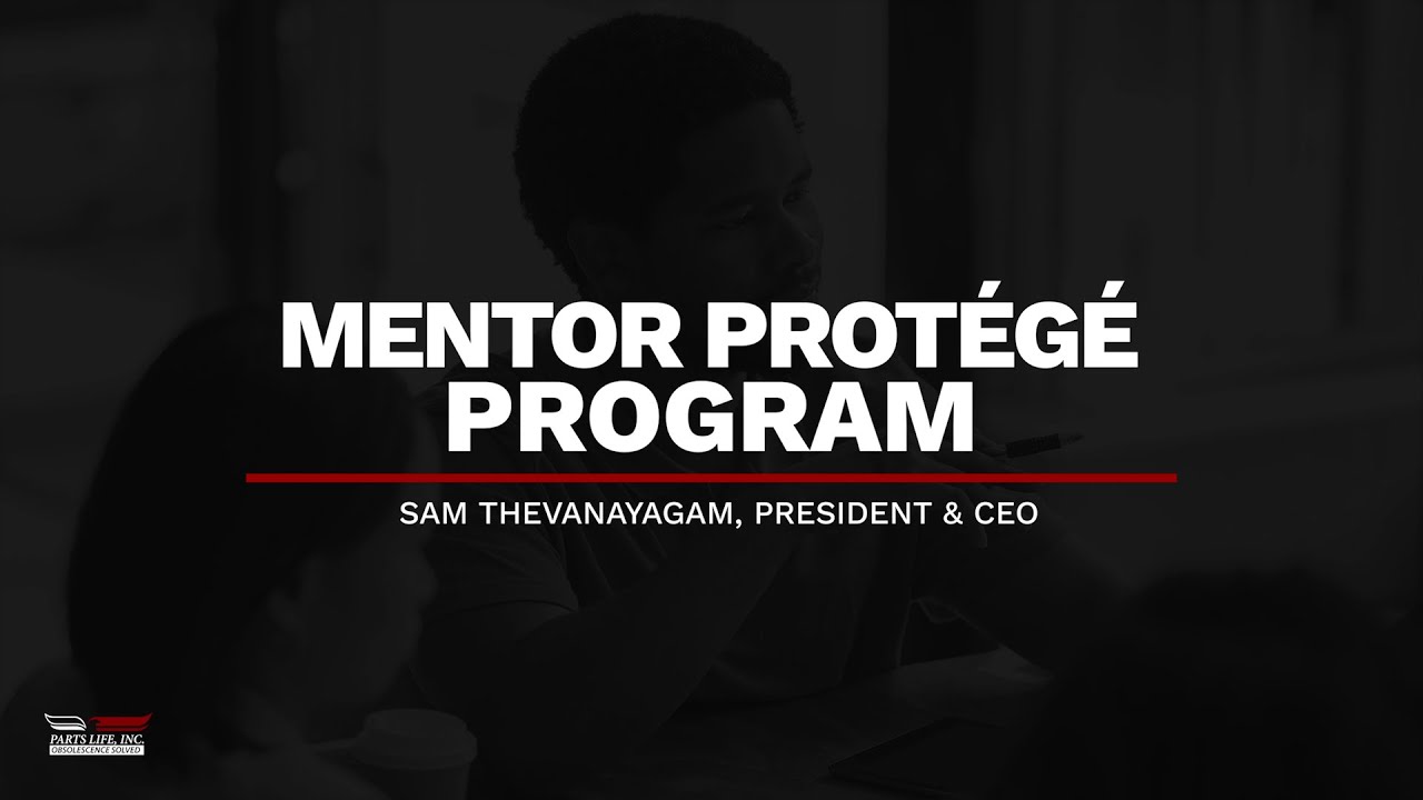 DeVal Lifecycle Support: Mentor-Protégé Program
