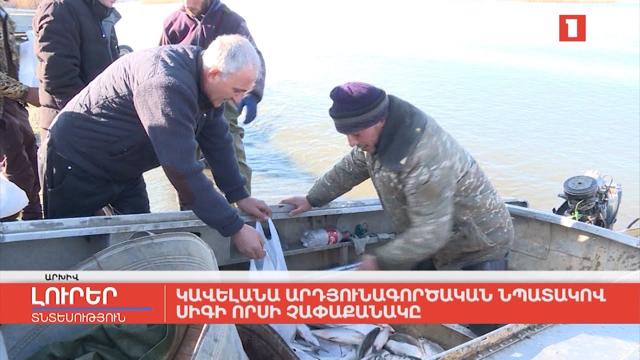 Կավելանա արդյունագործական նպատակով սիգի որսի չափաքանակը