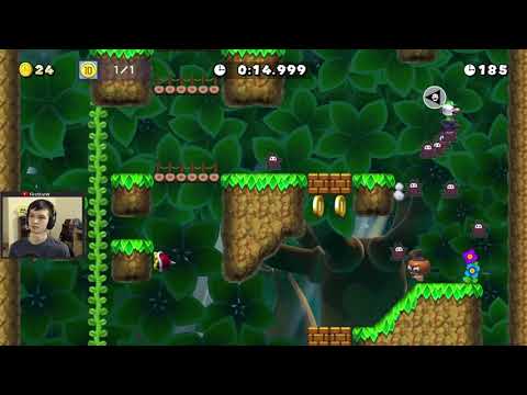 Ninji Speedrun: The 10-Coin of Deep Woods (0:21:565)