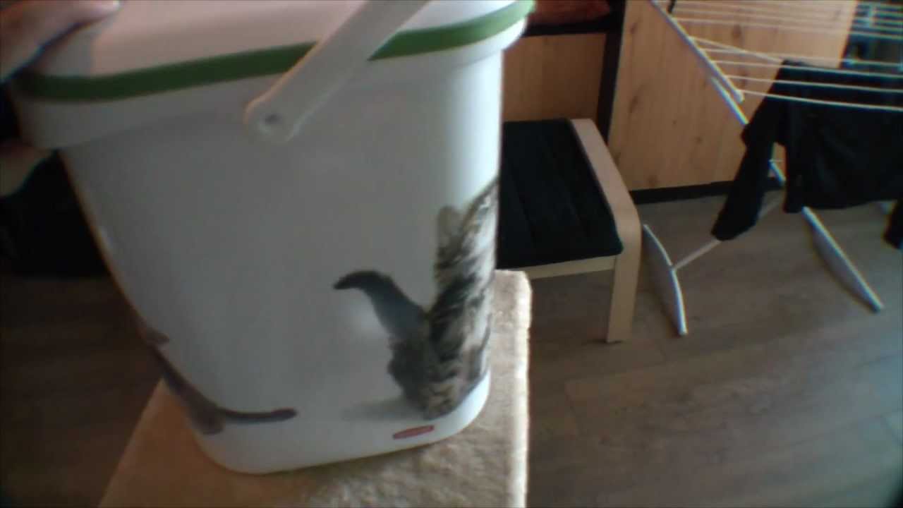 Petlife: Dry food Jug 4Kg