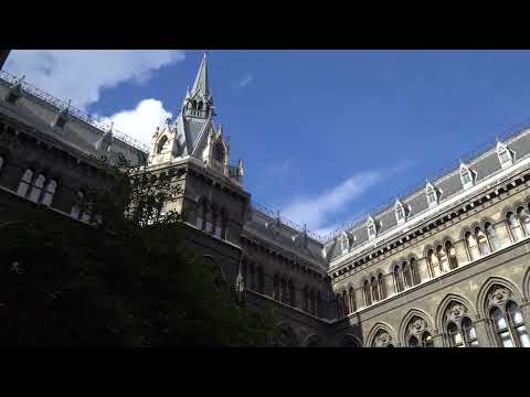 Rathaus der Stadt Viena
