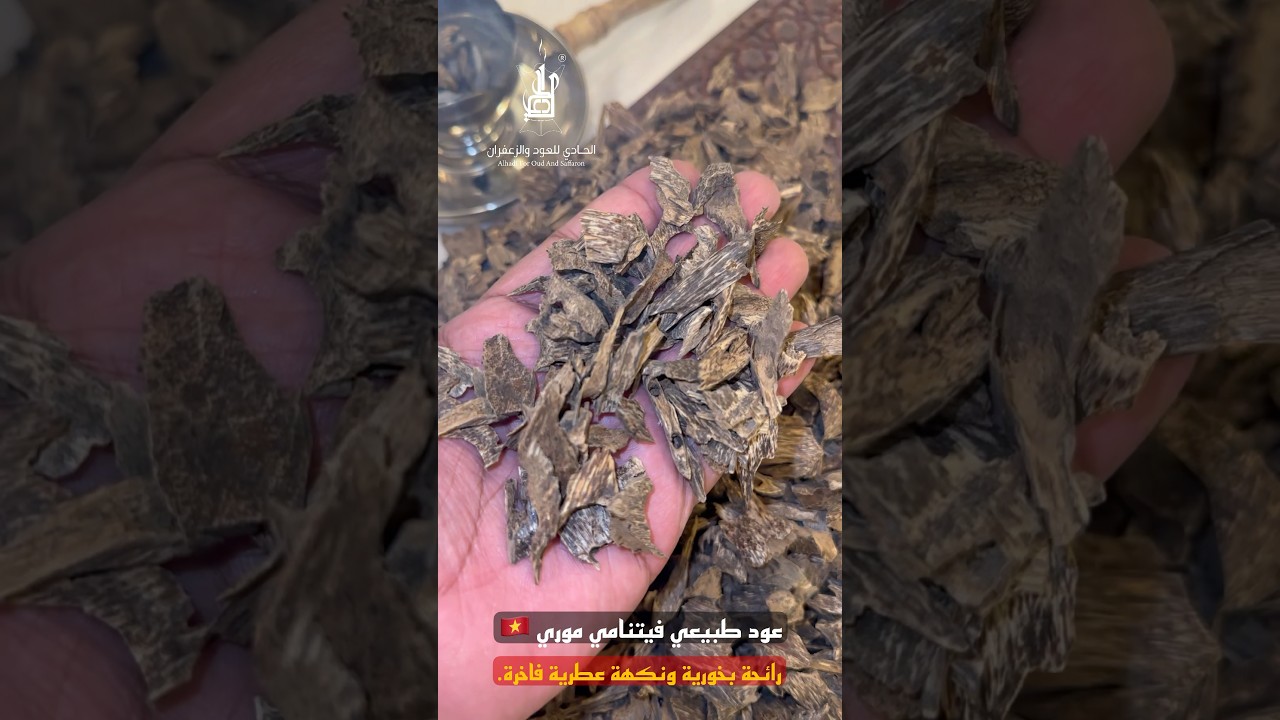  عود طبيعي فيتنامي موري 