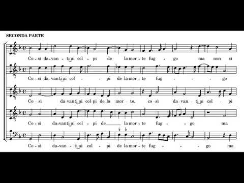 Cipriano de Rore: Quand'io son tutto volto - Blue Heron