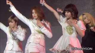 [FanCam] JIYEON (T-ARA) - I'm Really Hurt : 20140119 Chengdu Concert