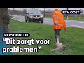 Reeën massaal doodgereden: Leo ruimt ze op | RTV Oost