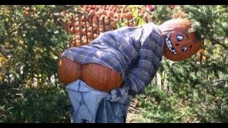 The Cobblestones - Trick Me, Treat Me