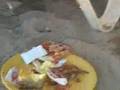Crab Steals Pizza Crab Steals Pizza
