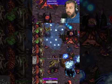 Recalling in MORE arbiters! | #falconpaladin on #starcraft #broodwar #gaming #pcgaming