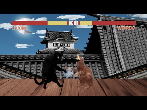 Cat Fighter II - A Street Fighter II parody