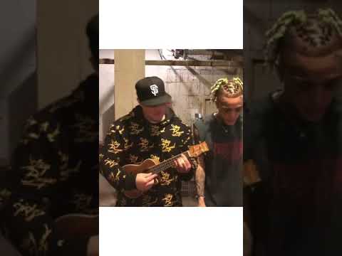 Lil Skies - I🦋.. Ukelele version.