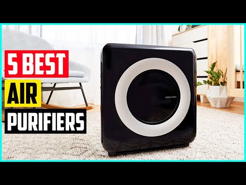 The 5 Best Air Purifiers In 2021
