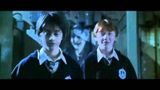 Ron e hermione - Un nuovo sogno.wmv