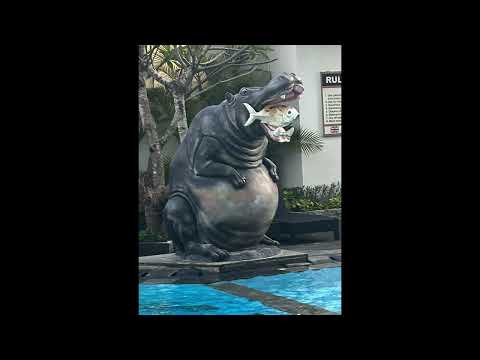 Febris Kuta, Bali, setembro de 2023