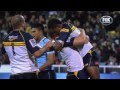 RUGBY HQ - HENRY SPEIGHT