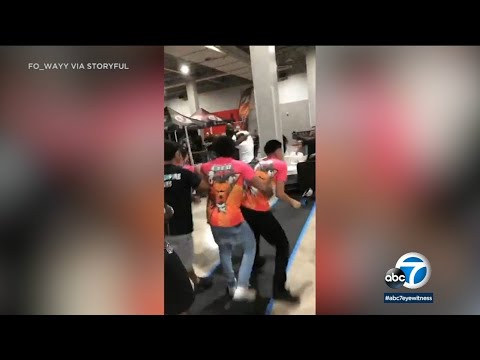 Brawl Breaks Out At The 'Miami Bully Takeover' Dog Show In Miami