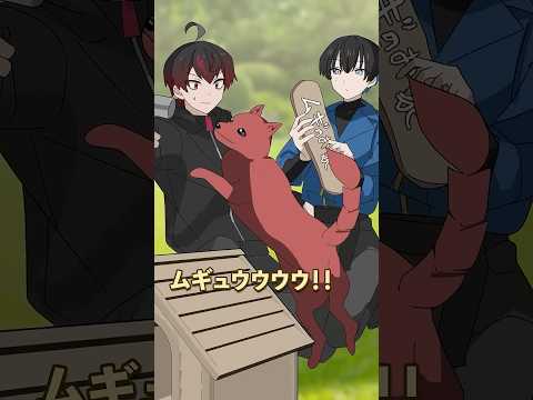 道端で拾った犬に隠された秘密とは