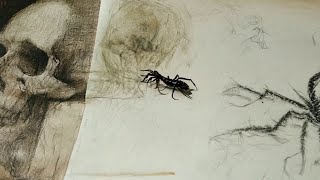 The Nightmare of Scorpions