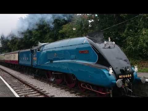LNER A4 4464 Bittern climbing through Goodrington Sands on the Torbay Express 2014