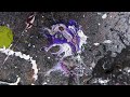 Коллекция Чудес. Музыка Mars Lasar - Twilight's Miracle