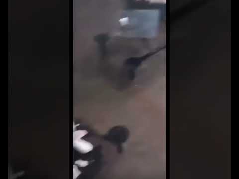 Level 5 Prison